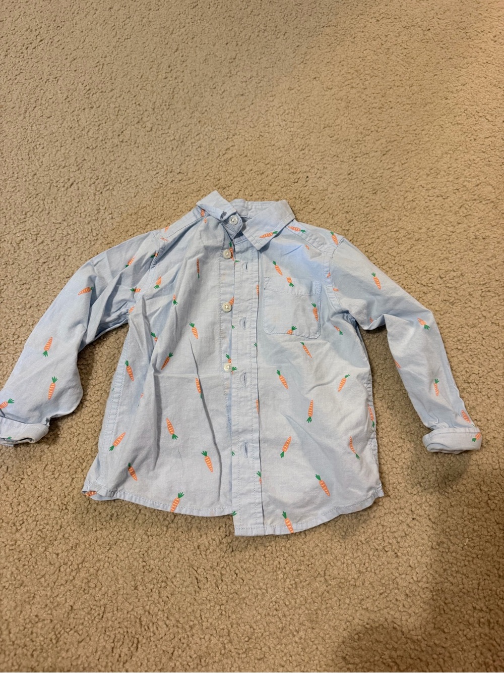 2T The Children’s Place Button Down Carrot Long Sleeve Collared Shirt Easter